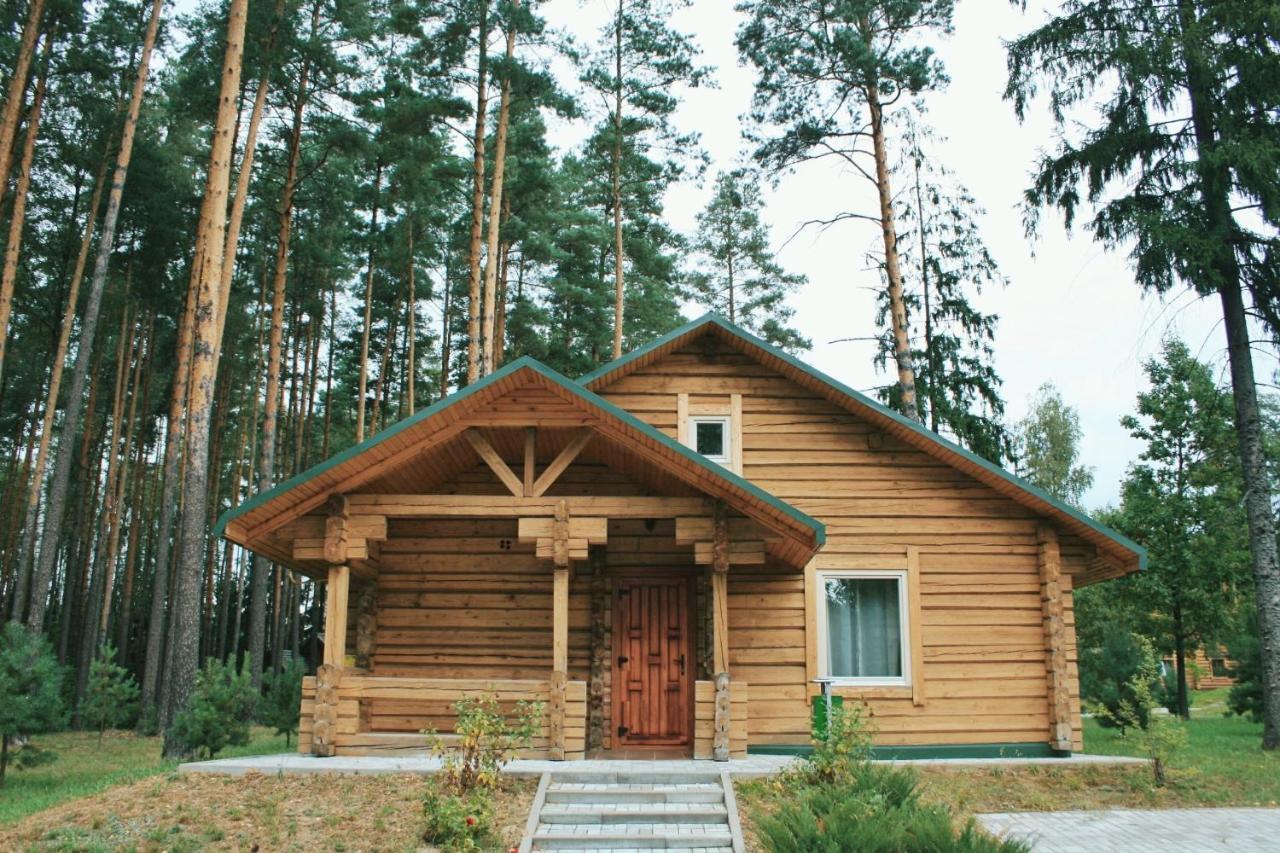 Green Park Hotel Airport Minsk Silichi Εξωτερικό φωτογραφία